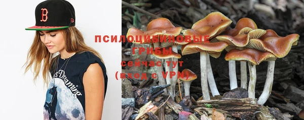 альфа пвп VHQ Белокуриха