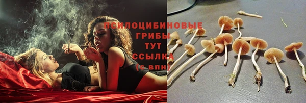 а пвп мука Беломорск